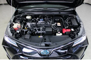 Toyota Altis 1.8 Hybrid High 2020 [BCDC]